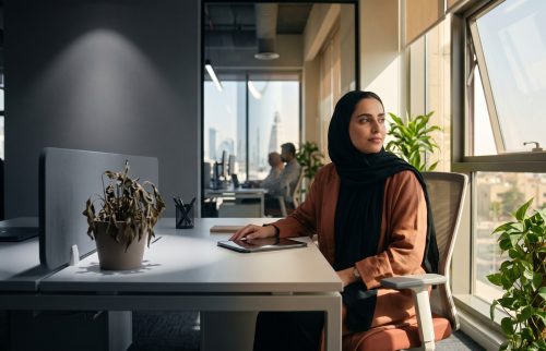 Workplace Languishing and Autonomy: What Separates an Employee Who Flourishes from One Who Languishes?